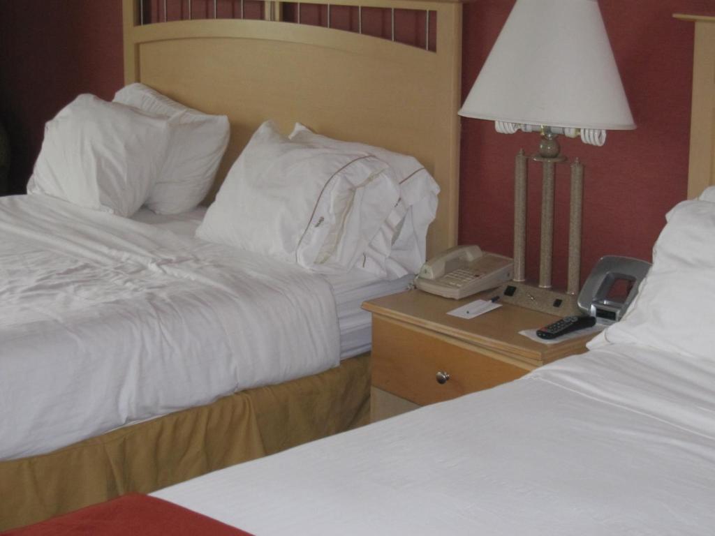 Best Western Long Island City نيو يورك الغرفة الصورة